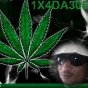 son test alx (enfermer)