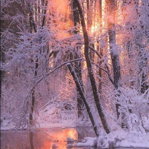 Vladimir Oppenheim plays Mozart Sonata in C Major K.330 I Allegro Moderato