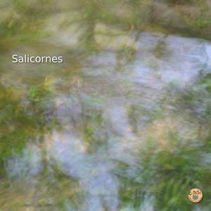 Google chante d Ormesson