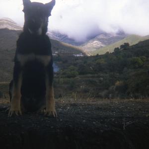 Hello Finnish Fans !!