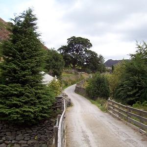 A Little Bit Of Fun On Facebook (instrumental)