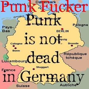 punk is not dead in germany