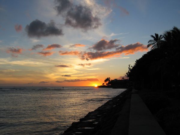 SKY for New Year's card