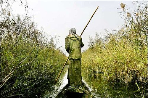 Marsh Arab