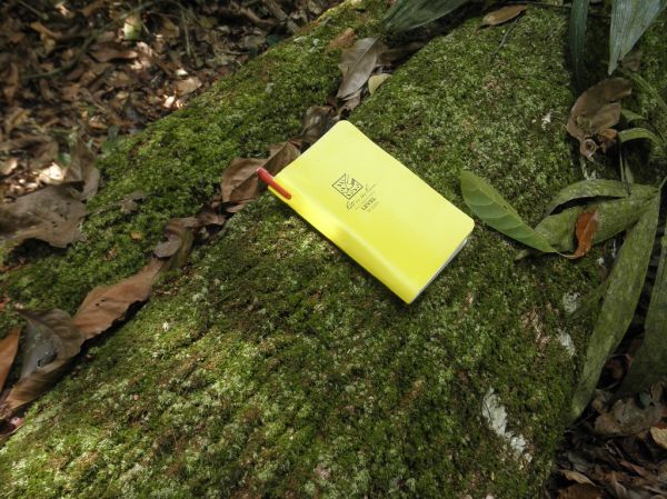 Amazon Lidar