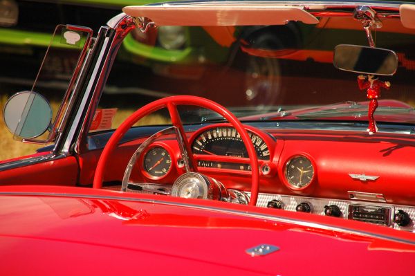 In The Drivers Seat 2 Dunedin