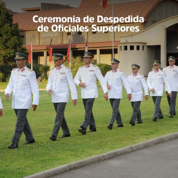 WhatsApp Image 2019-12-03 at 16.56.45