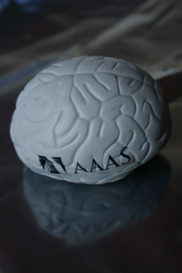 AAAS brain