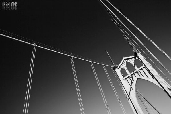 Going Dutch With St. Johns