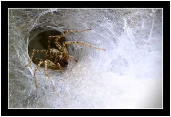 The Stuff of Nightmares