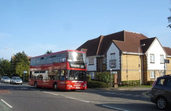 The New Order on the 365