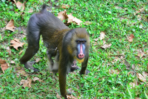 Nikon D800 Test Shot