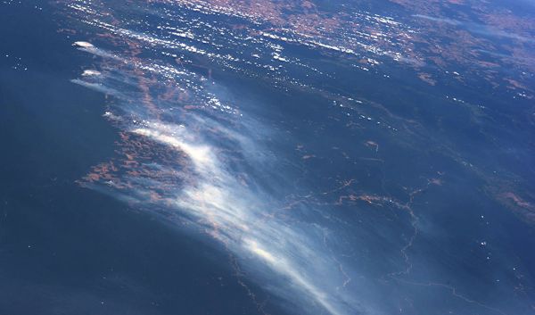El Niño Could Drive Intense Season for Amazon Fires