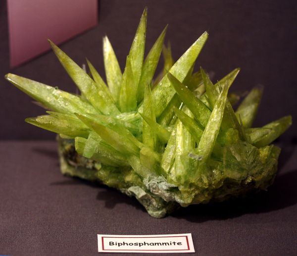 This is All my Father's Fault