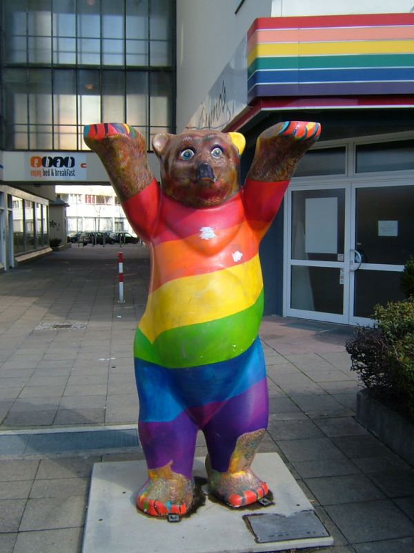 Gay Bear