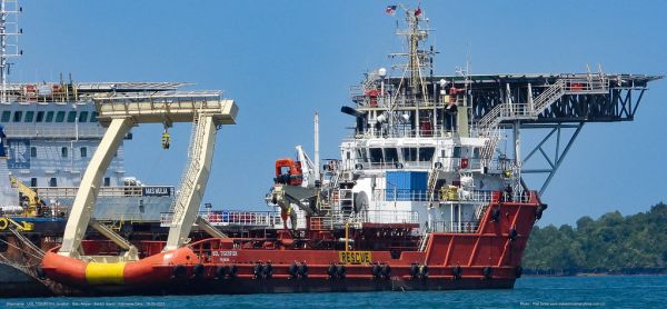 uol tigerfish@piet sinke 16-03-2023a-2