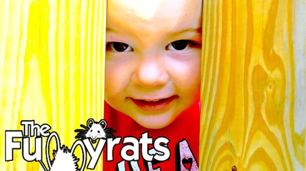 PLAYING AT THE PARK, PICNIC IN THE CAR & FREE CHICKEN! | Day 2115 - TheFunnyrats