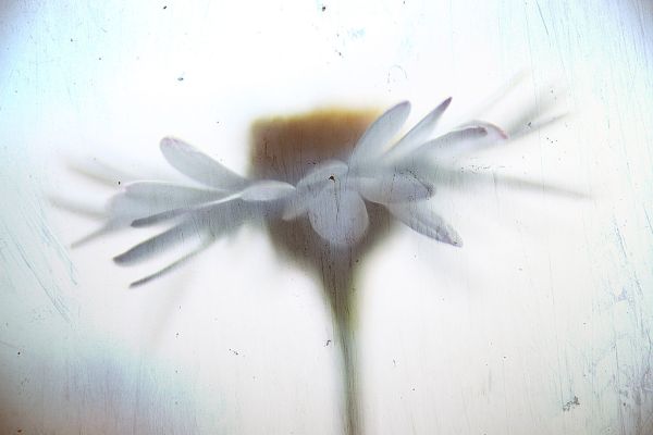 HELLO HURRAH WHAT A NICE DAY.