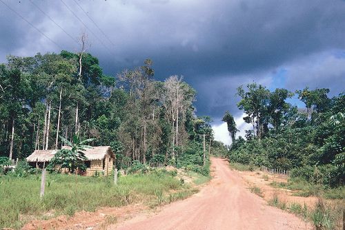 A road in the Amazon