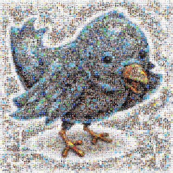 Twitter Follower Mosaic