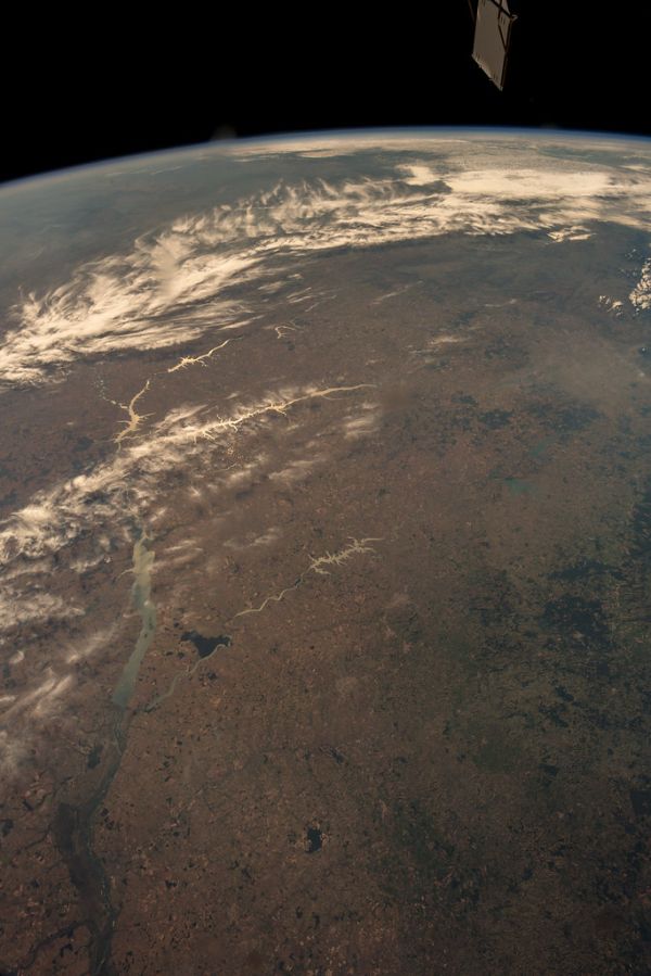 Amazon rainforest