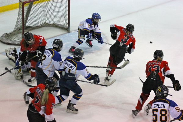 The 2012 Chicago Fury U14 AAA Girls Hockey Team vs Naperville Sabres Boys Pee Wee's in an exhibition game at Rocket Ice Arena in Naperville, Illinois on February 22nd, 2013.