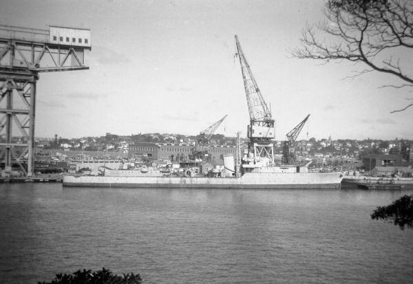 1956: RARE IMAGE - Tribal HMAS BATAAN at G.I., aft funnel missing. John Jeremy.