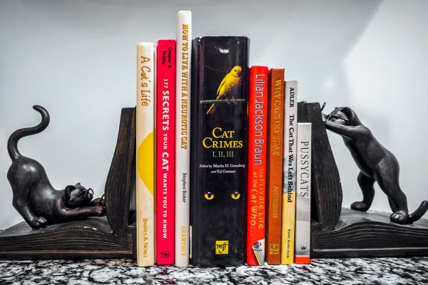 cats & books