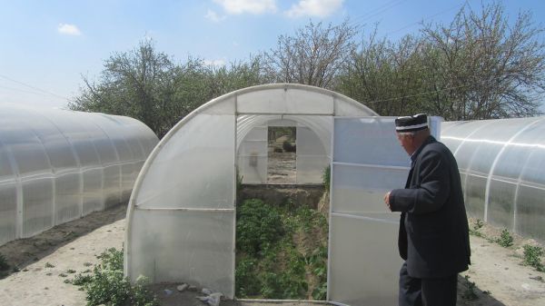High-yield seeds bring hope on poverty and environment issues in Tajikistan