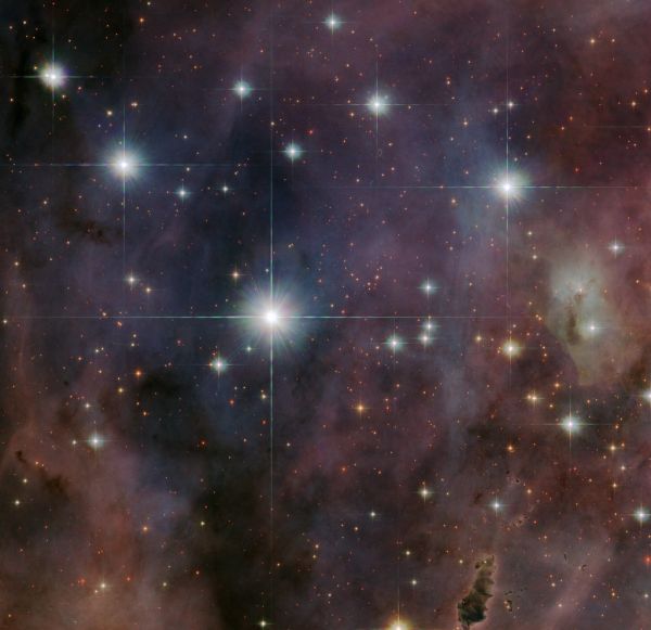 Young Stars in Carina