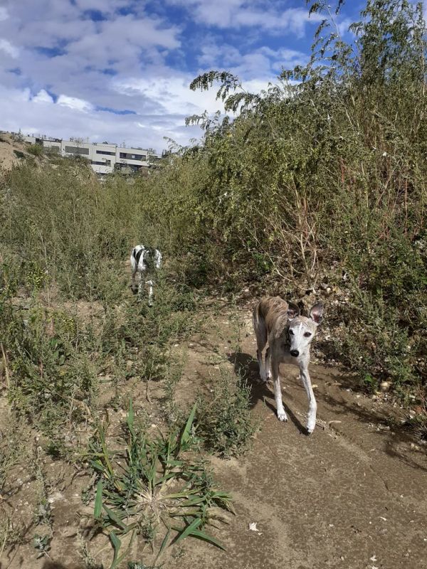 WhatsApp Image 2022-09-11 at 15.18.52