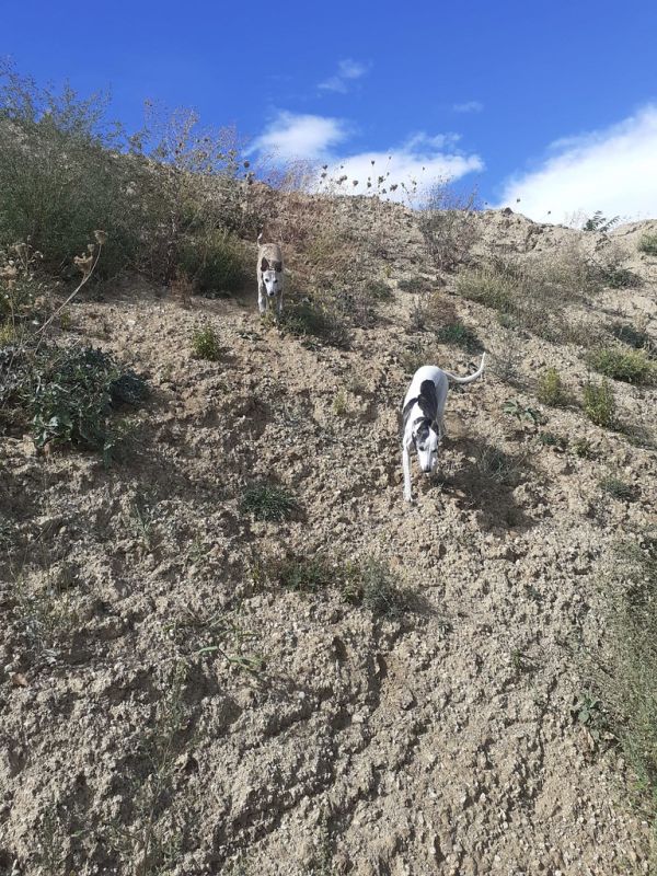 WhatsApp Image 2022-09-11 at 15.18.47