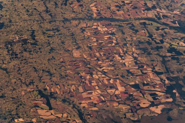 Amazon rainforest