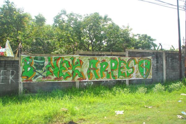 Bonek Arpes