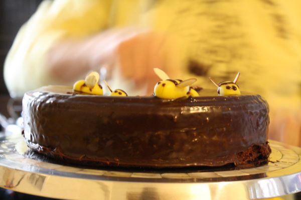 Annie Lou's Honey Bee Birthday Cake