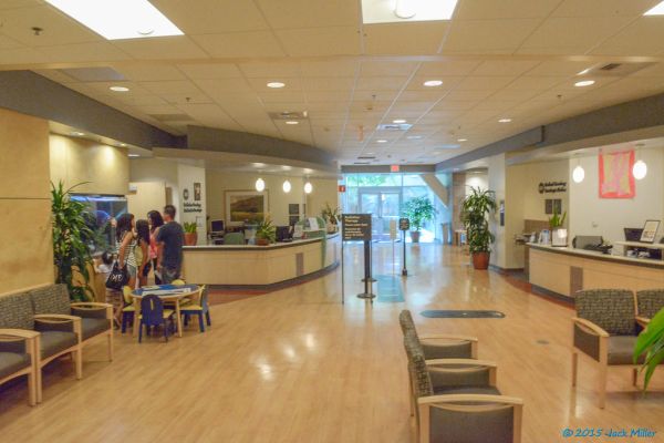 Cancer Treatment, July through August 2013