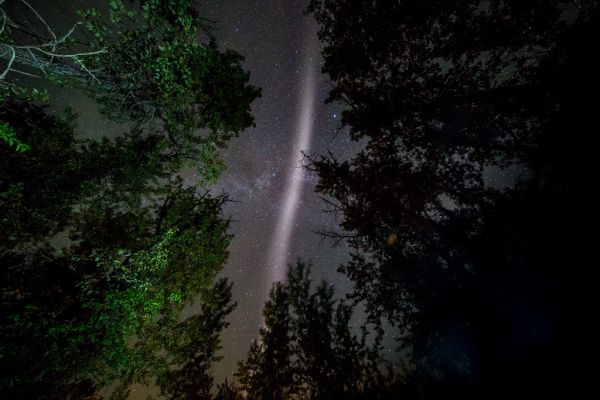 Citizen scientist images of STEVE