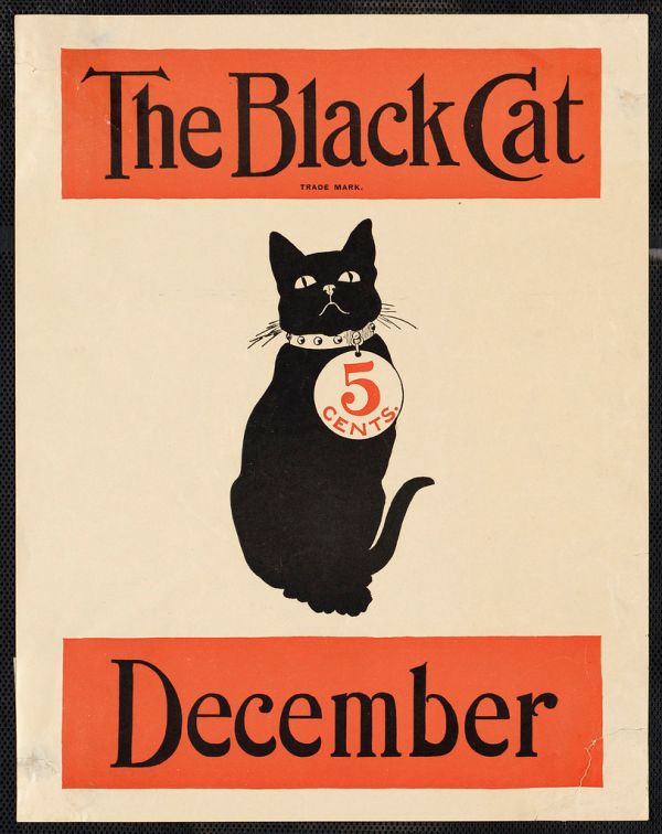 The black cat December
