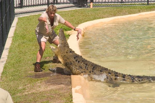 Steve Irwin feeding Croc=