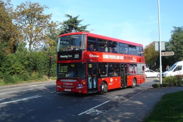 The New Order on the 365