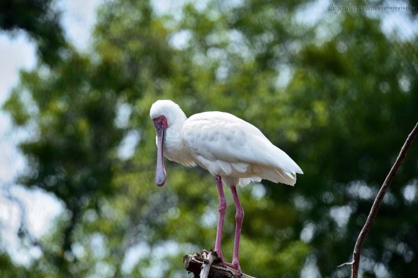 Nikon D800 Test Shot