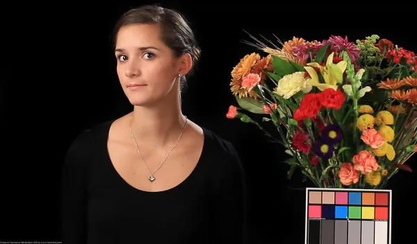 Canon T2i 550D Color Chart Test