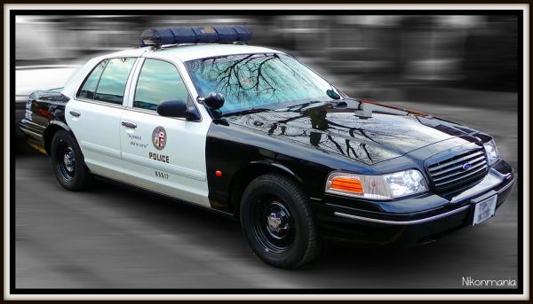 LAPD Police Car