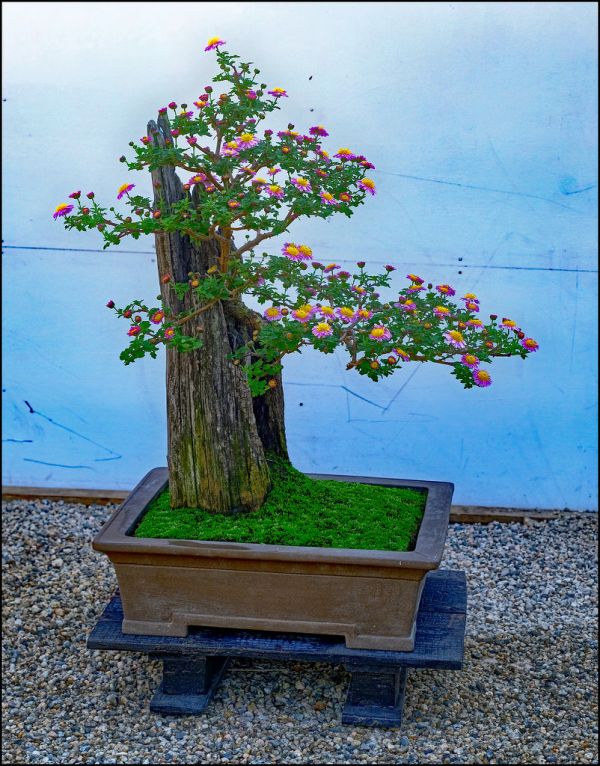 Kora-kuen Gardens, Okayama, Japan.05b