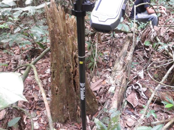 Amazon Lidar