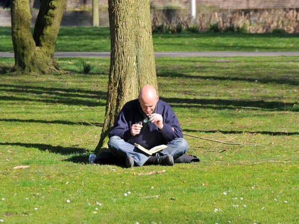 Anne Frank Plantsoen Eindhoven