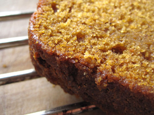 Pumpkin Bread - The Delicious Daily 11.05.2009