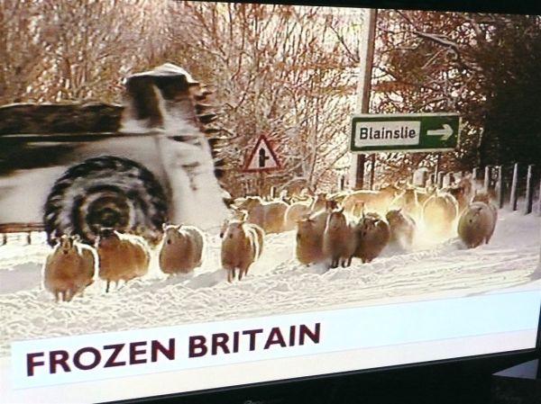 Frozen Britain - BBC news screencap ...with sheep!