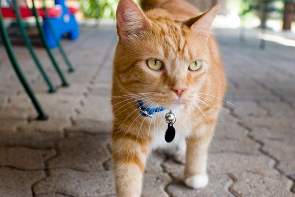 Andre 35mm 1.8 Test Shot