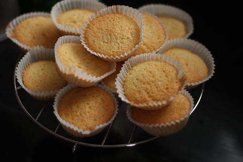 Tasty little sponge cakes / buns